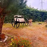 Holiday home Da Pedreira *