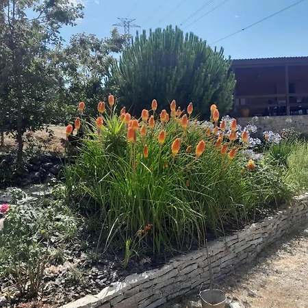 Σπίτι διακοπών Da Pedreira Viseu