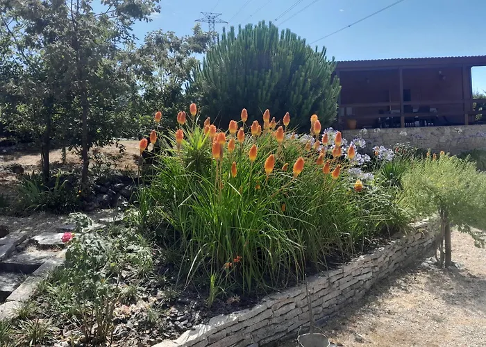 Feriehus Da Pedreira Viseu